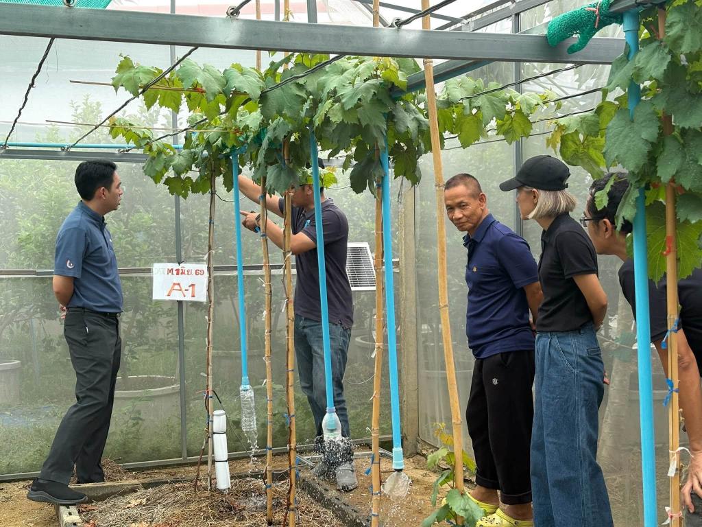 กำกับติดตาม "สวนองุ่น 4P" ที่เข้าร่วมกิจกรรมการประยุกต์ใช้เทคโนโลยีดิจิทัล (เกษตรอัจฉริยะ : Smart Farm) สำหรับอุตสาหกรรมเกษตรแปรรูป