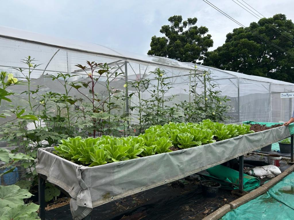จัดกิจกรรมการฝึกอบรมเชิงปฏิบัติการ “Smart Farm Transformation: ยกระดับเกษตรกรไทยสู่เกษตรอัจฉริยะ”