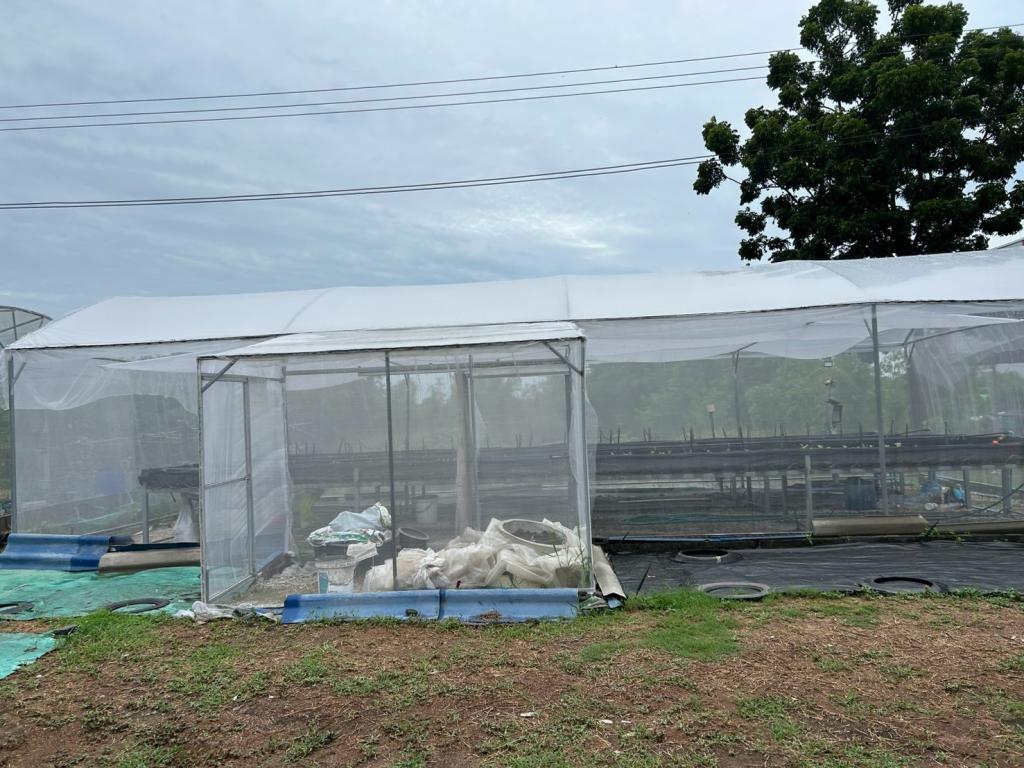 จัดกิจกรรมการฝึกอบรมเชิงปฏิบัติการ “Smart Farm Transformation: ยกระดับเกษตรกรไทยสู่เกษตรอัจฉริยะ”