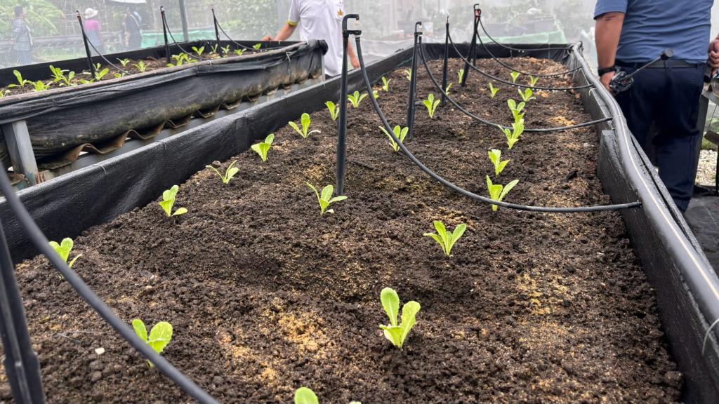 จัดกิจกรรมการฝึกอบรมเชิงปฏิบัติการ “Smart Farm Transformation: ยกระดับเกษตรกรไทยสู่เกษตรอัจฉริยะ”